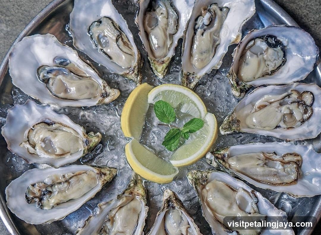 Oysters on Ice Platter