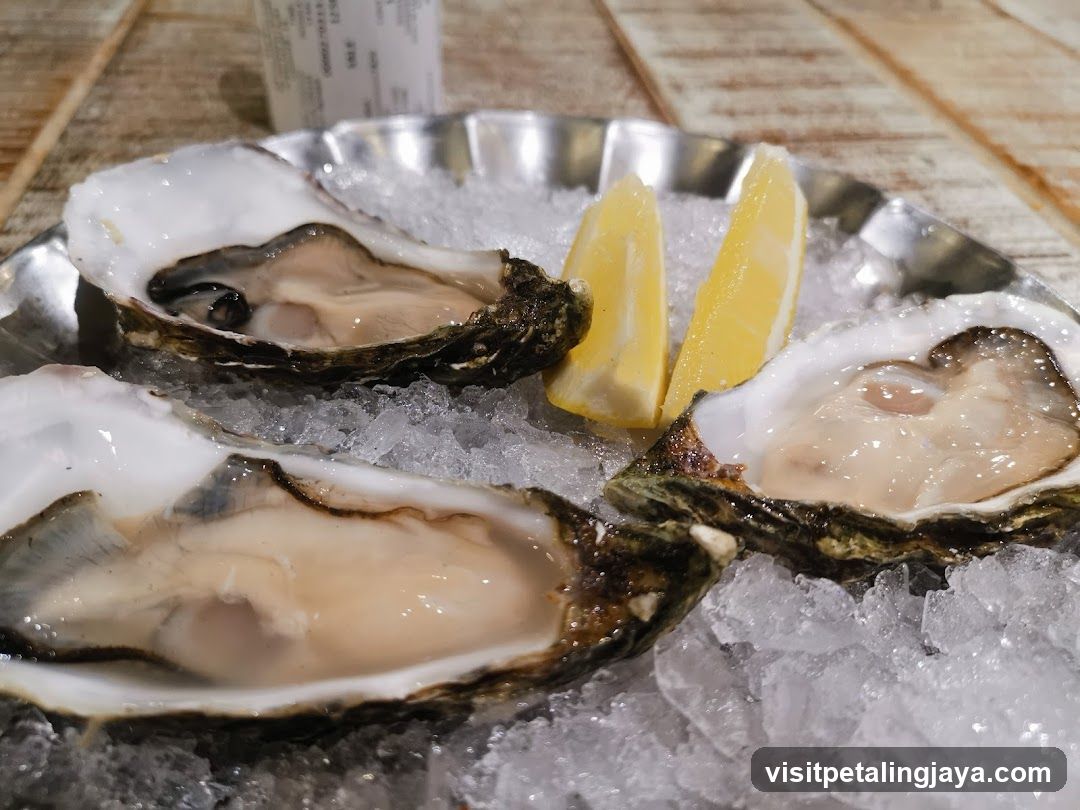 Oysters on Ice
