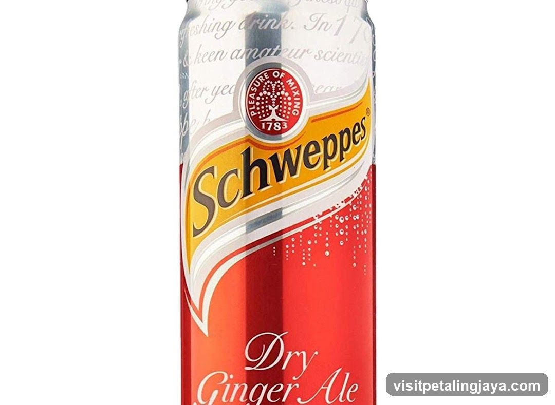 Schweppes Dry Ginger Ale Can