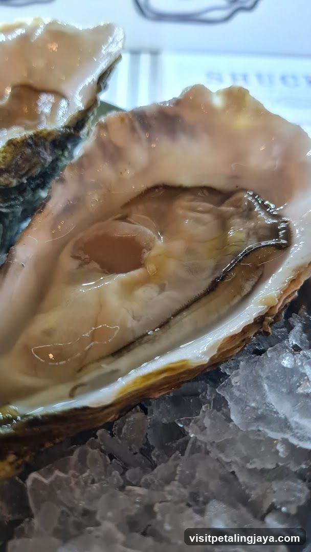 Oysters on Ice
