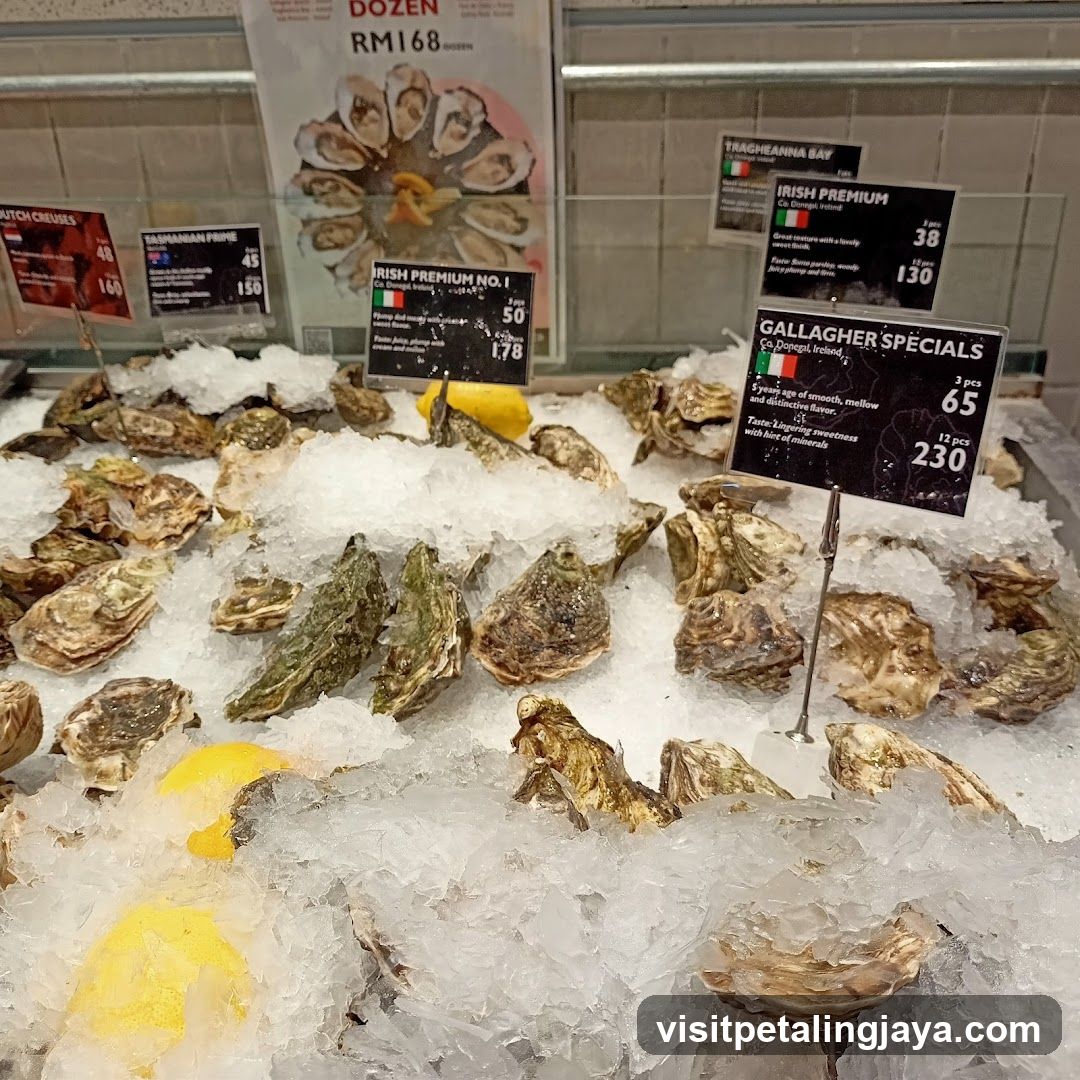 Oyster Display