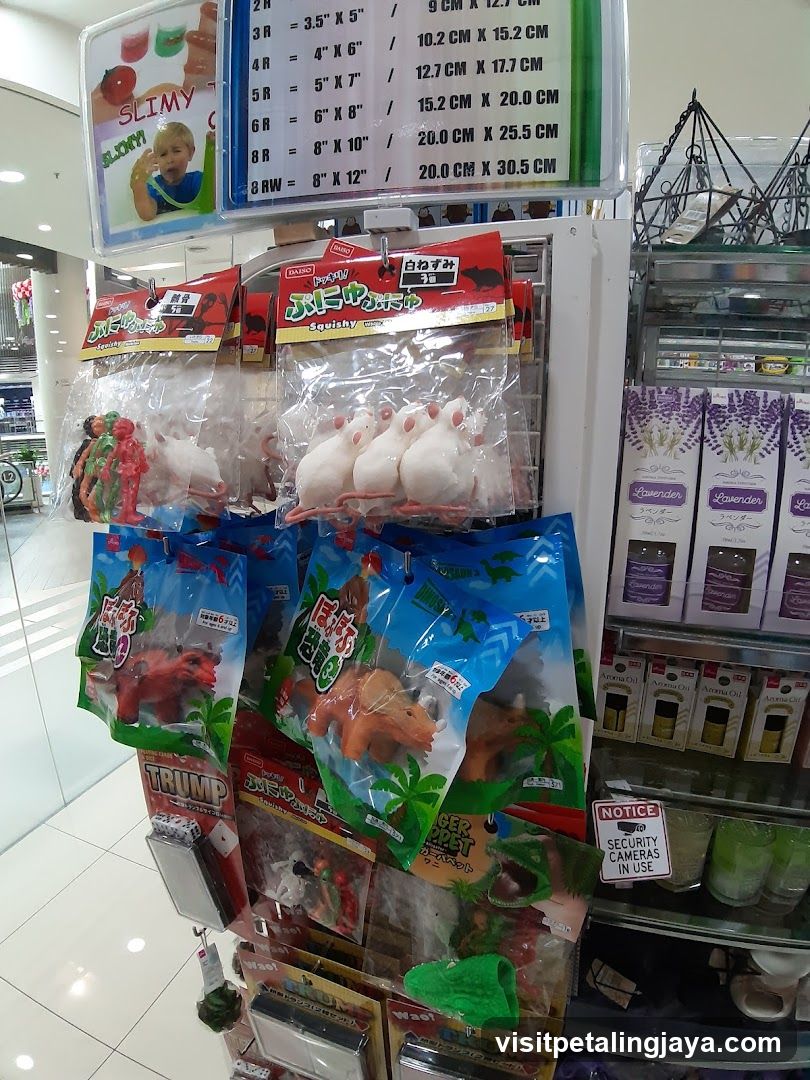 Toy and Snack Display in Store