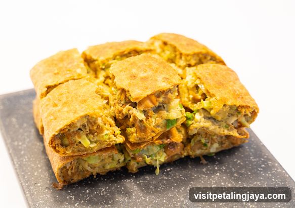 Fried Egg Roll with Fillings