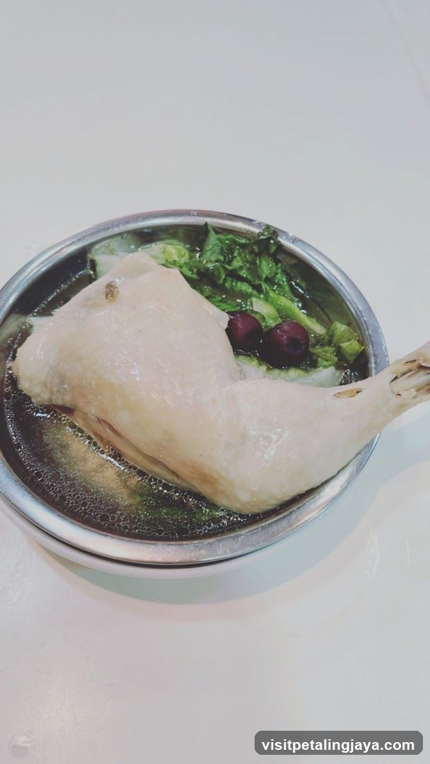 Chicken Soup with Vegetables