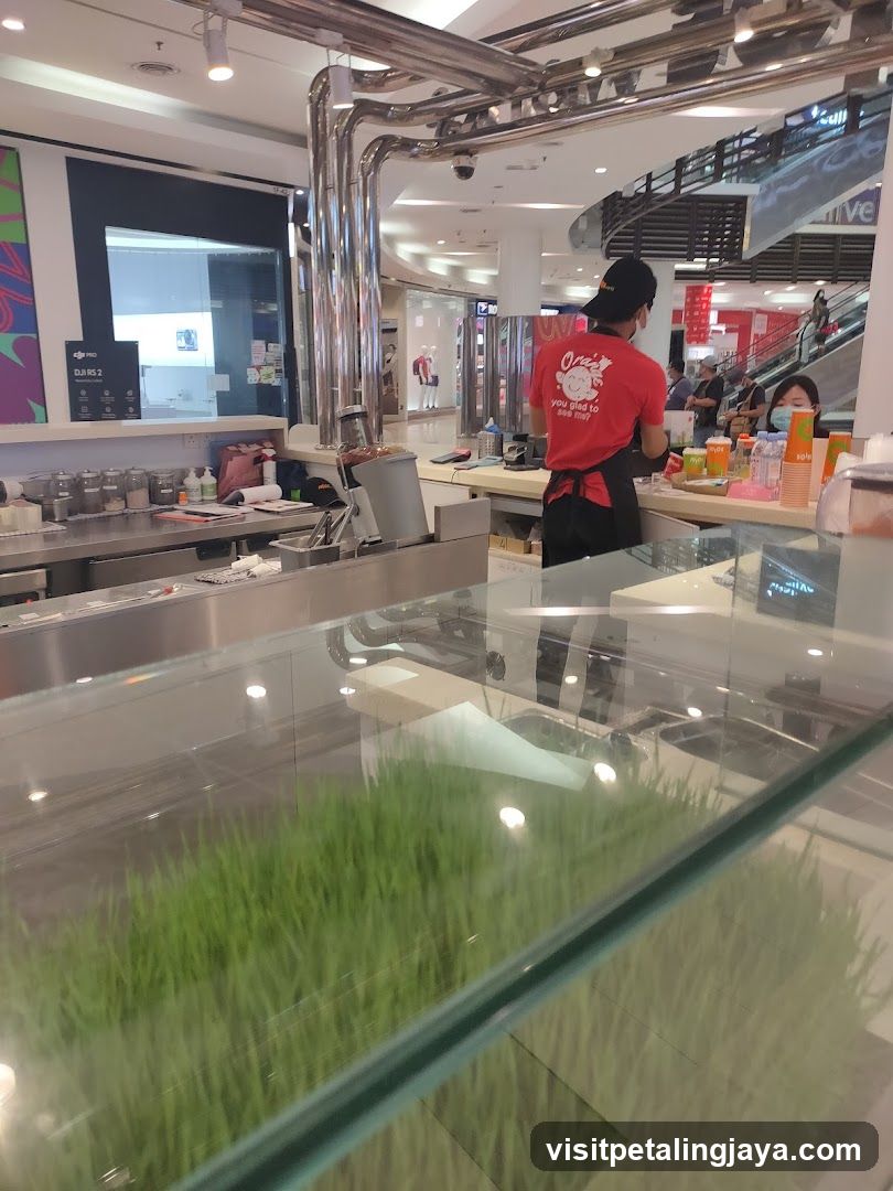Food Counter Interior