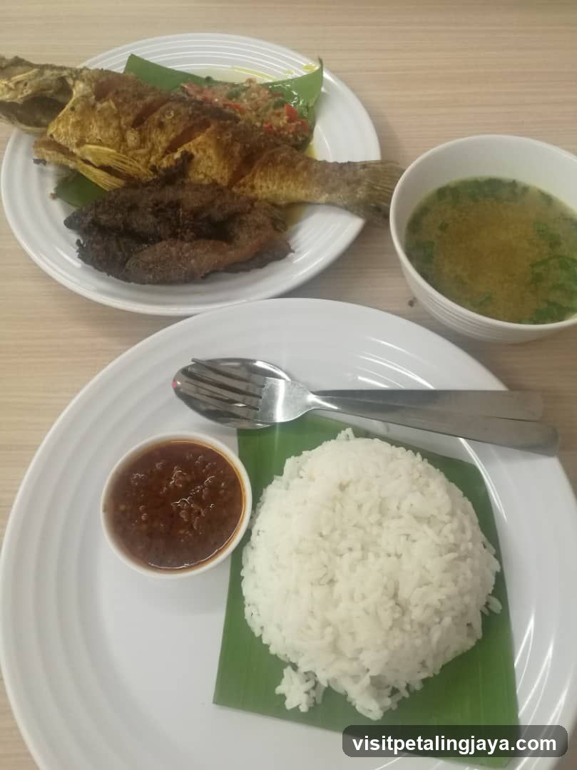 Fried Fish and Rice Meal