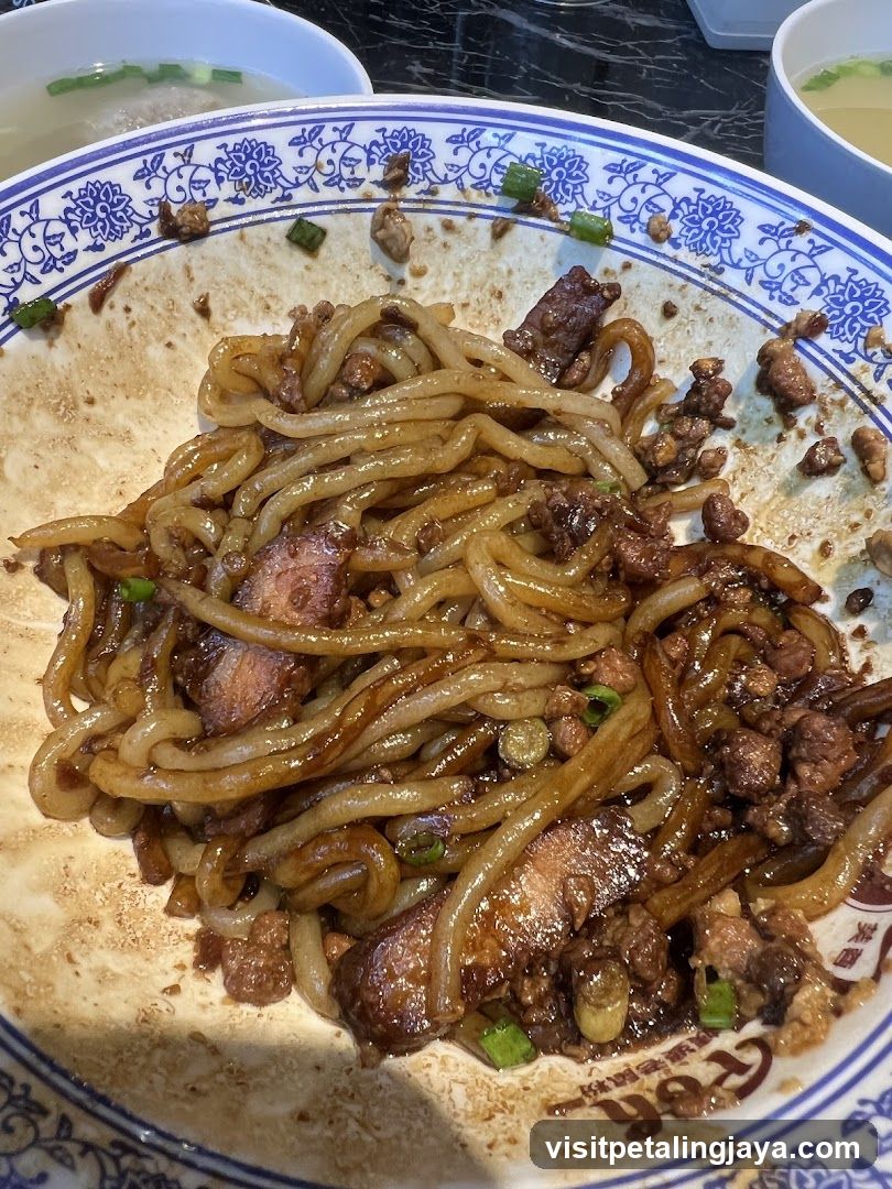 Bowl of Stir-fried Noodles with Meat and Scallions