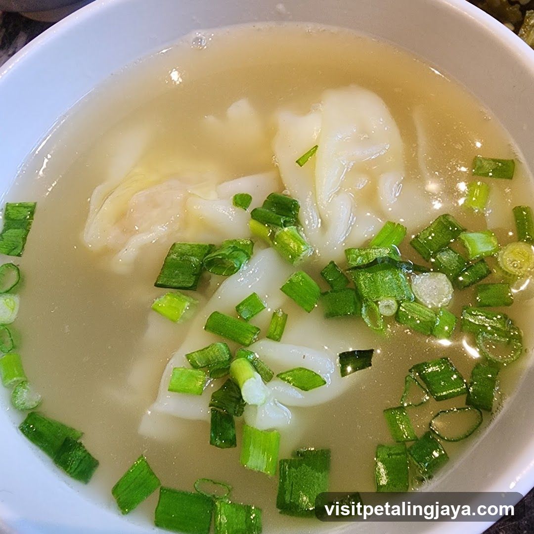 Wonton Soup with Green Onions