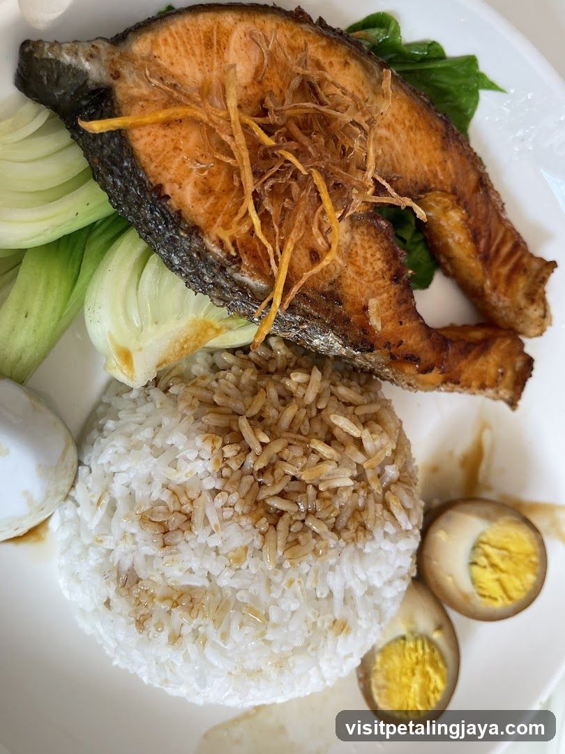 Grilled Fish Rice Plate