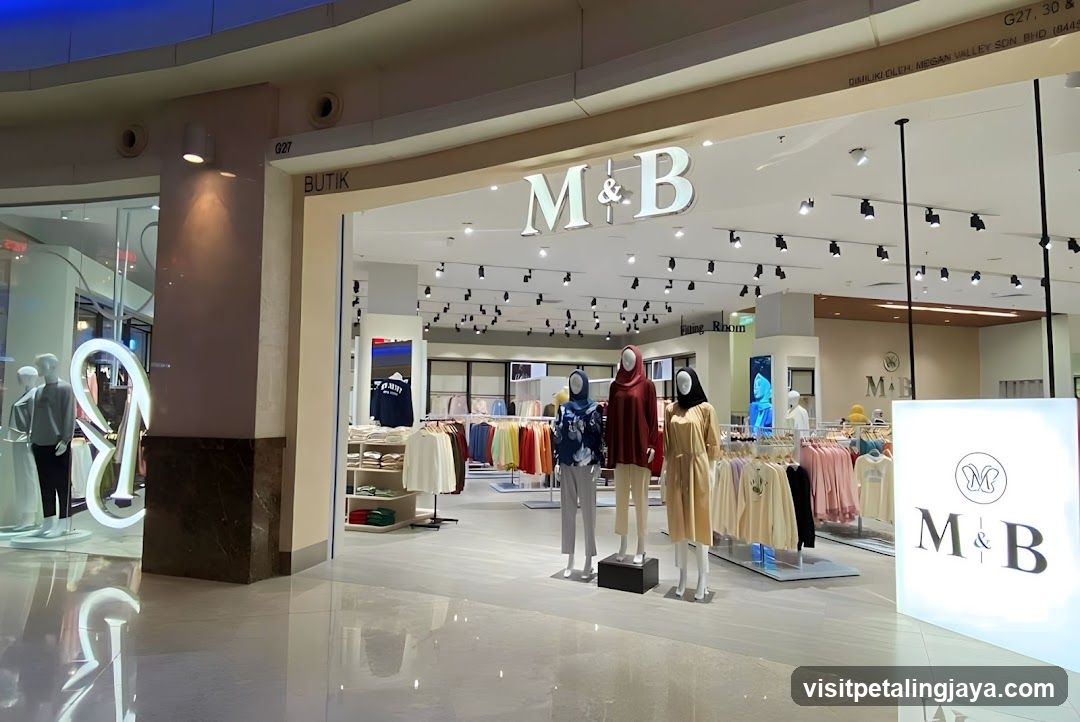 M&B - The Curve