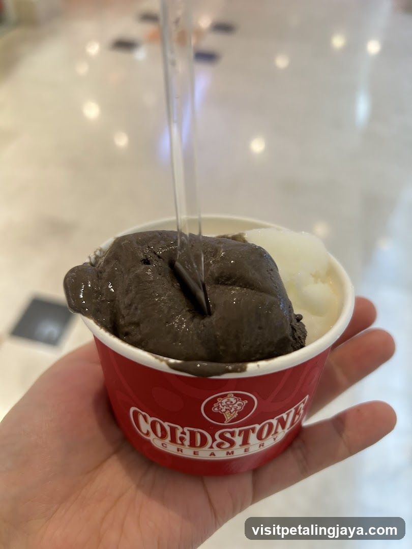 Cold Stone Creamery Ice Cream Cup
