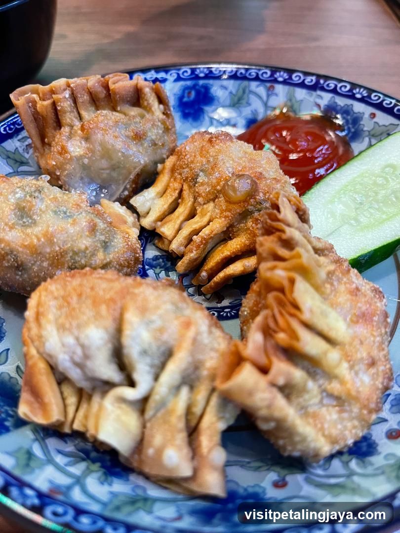 Fried Dumplings with Sauce and Cucumber