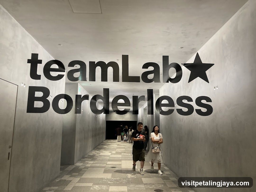 teamLab Borderless Entrance