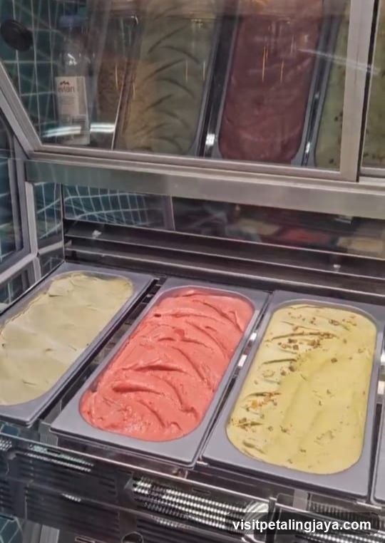 Gelato Display Case