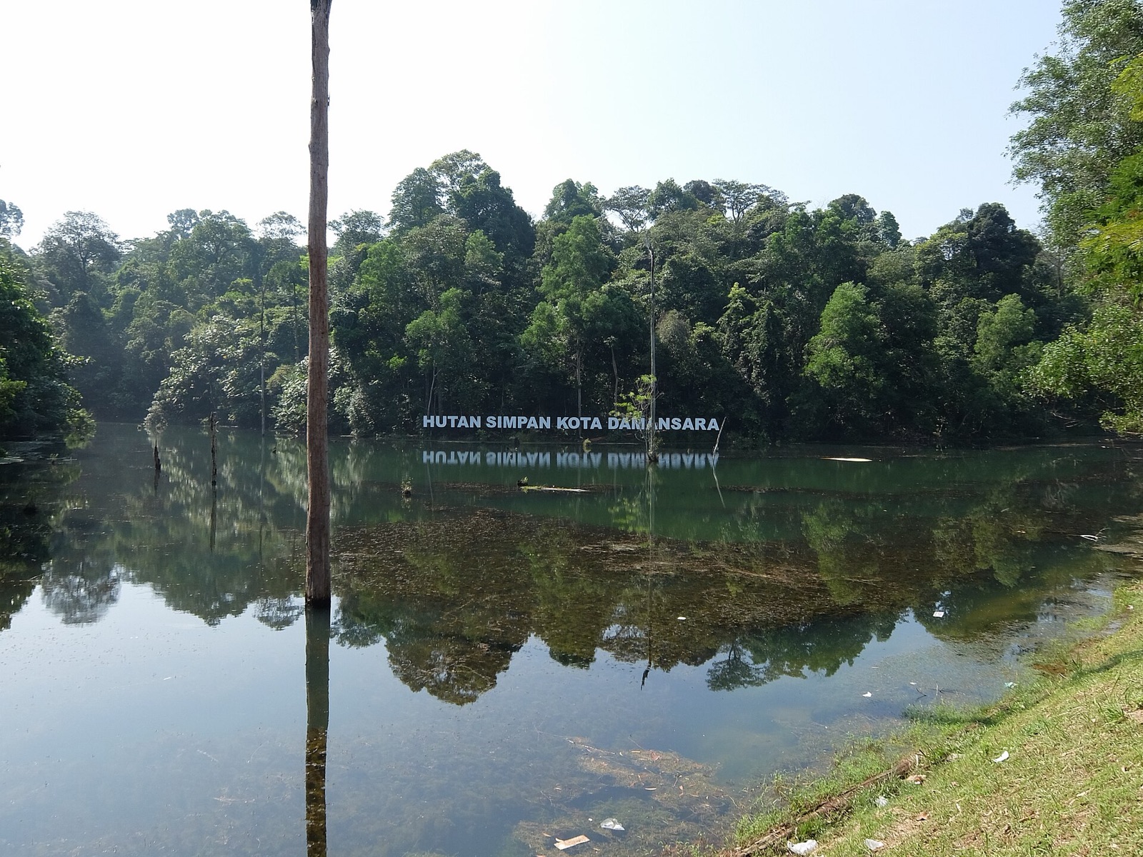Hutan Simpan Komuniti Kota Damansara (KDCF)